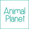 Animal Planet Kidult